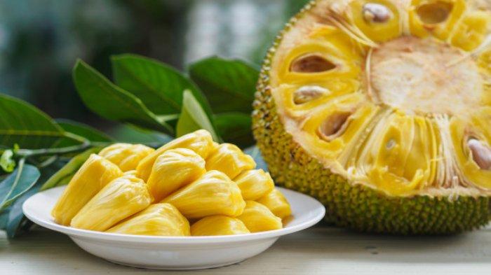 5 manfaat buah nangka untuk kesehatan turunkan kadar kolesterol jaga kesehatan pencernaan 8097aa2